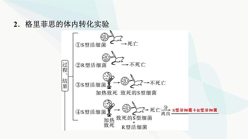 2024届高考生物一轮复习第6单元第17课DNA是主要的遗传物质课件第5页