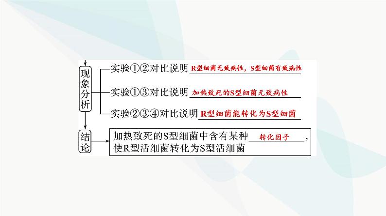 2024届高考生物一轮复习第6单元第17课DNA是主要的遗传物质课件第6页