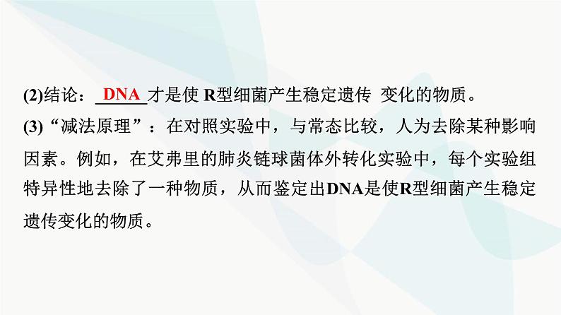 2024届高考生物一轮复习第6单元第17课DNA是主要的遗传物质课件第8页