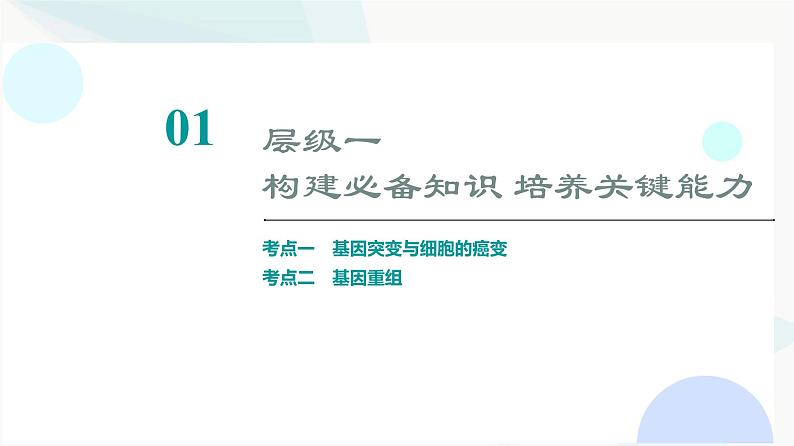 2024届高考生物一轮复习第7单元第20课基因突变和基因重组课件第3页