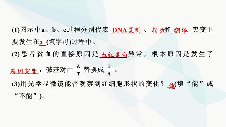 2024届高考生物一轮复习第7单元第20课基因突变和基因重组课件第5页