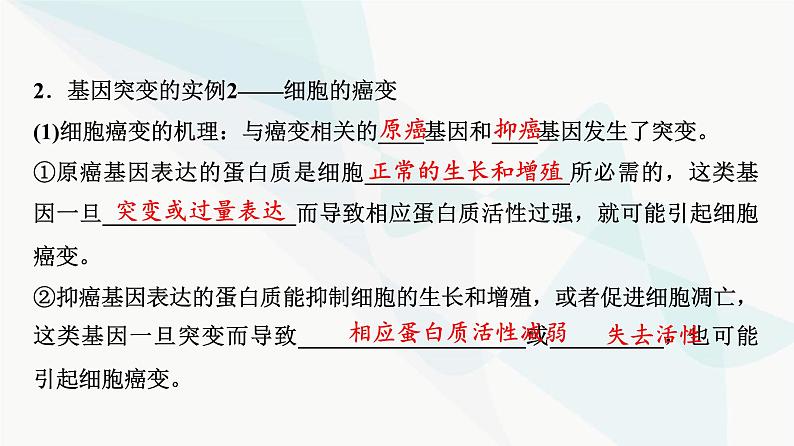 2024届高考生物一轮复习第7单元第20课基因突变和基因重组课件第6页