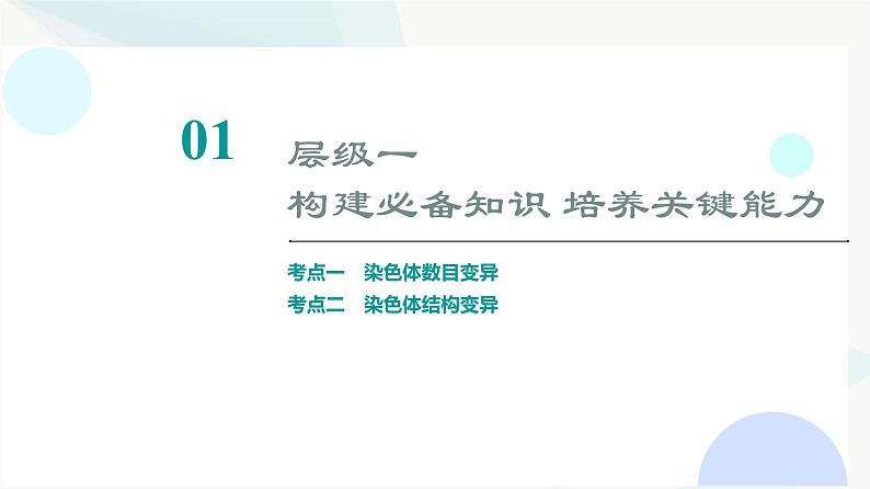 2024届高考生物一轮复习第7单元第21课染色体变异课件第3页