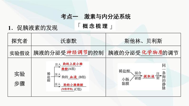 2024届高考生物一轮复习第8单元第26课内分泌系统组成与体液调节的过程课件第4页