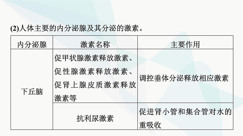 2024届高考生物一轮复习第8单元第26课内分泌系统组成与体液调节的过程课件第8页