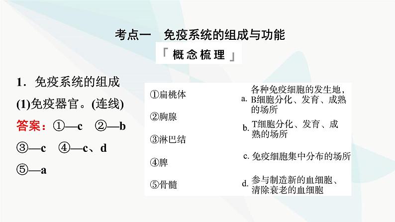 2024届高考生物一轮复习第8单元第28课免疫调节课件第4页