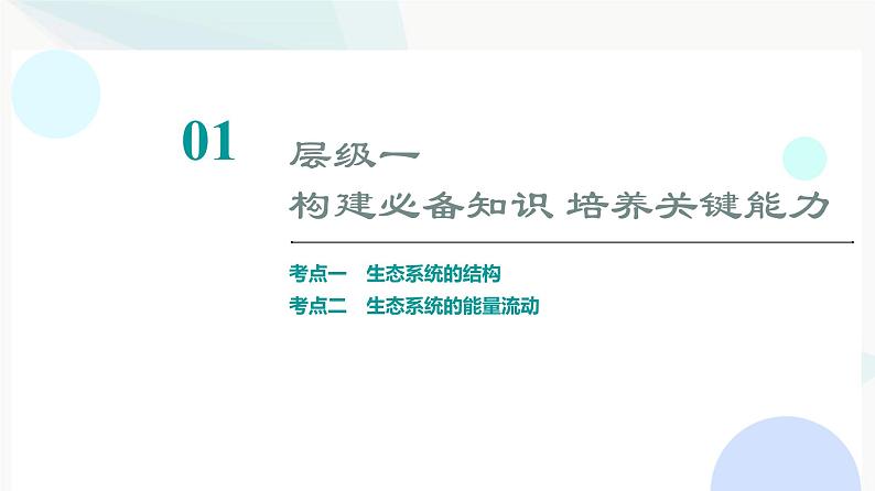 2024届高考生物一轮复习第9单元第32课生态系统的结构与能量流动课件03