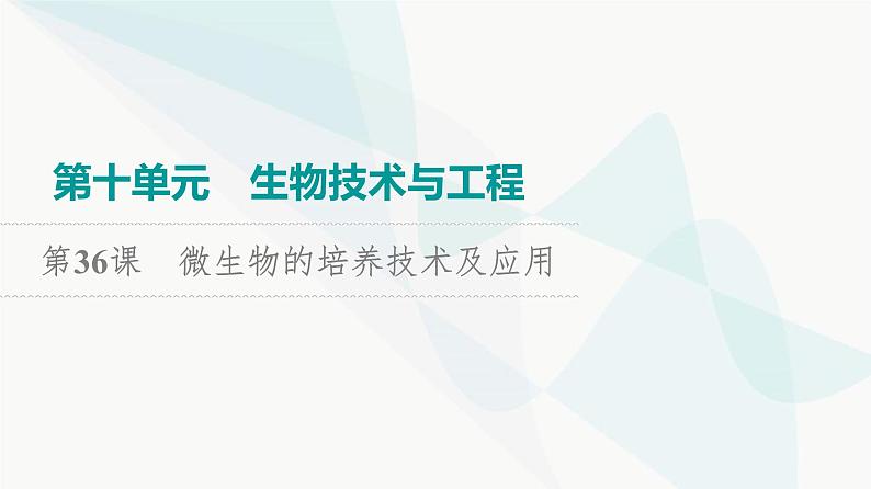 2024届高考生物一轮复习第10单元第36课微生物的培养技术及应用课件01