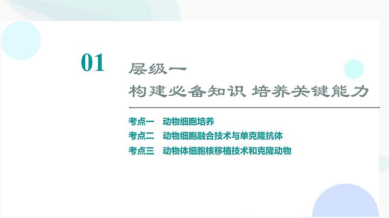 2024届高考生物一轮复习第10单元第38课动物细胞工程课件03