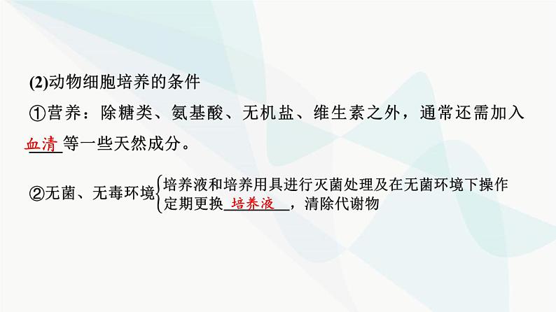 2024届高考生物一轮复习第10单元第38课动物细胞工程课件05