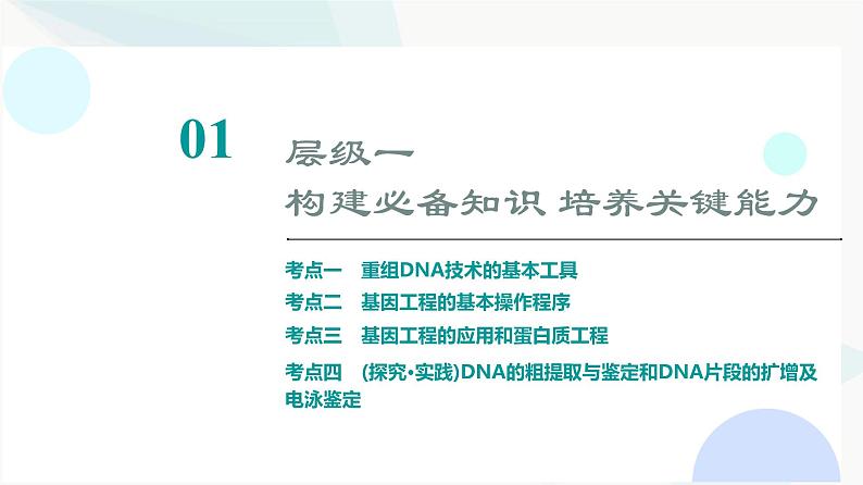 2024届高考生物一轮复习第10单元第40课基因工程课件第3页