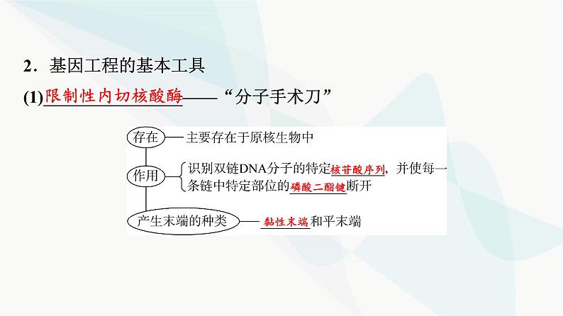 2024届高考生物一轮复习第10单元第40课基因工程课件第5页