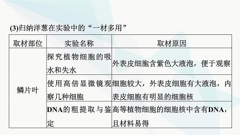 2024届高考生物一轮复习第11单元教材基础类实验课件第8页