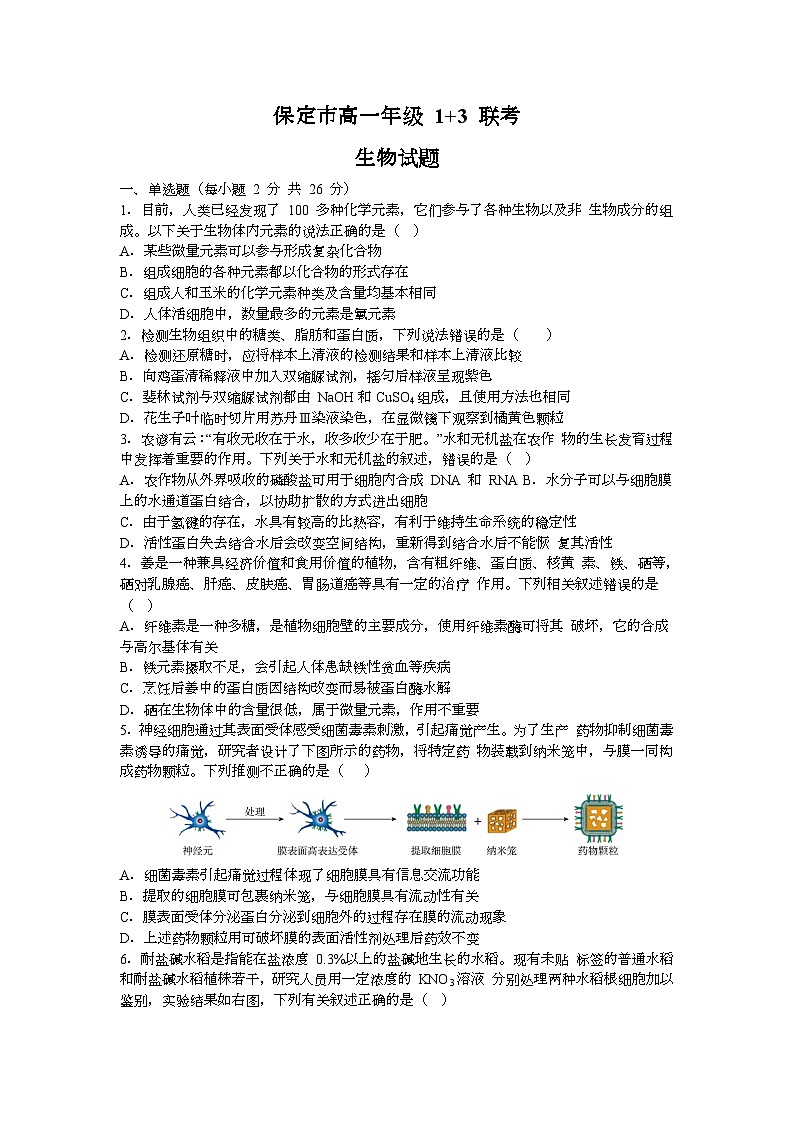 河北省保定市部分高中2023-2024学年高一上学期9月月考生物试题（含答案）01