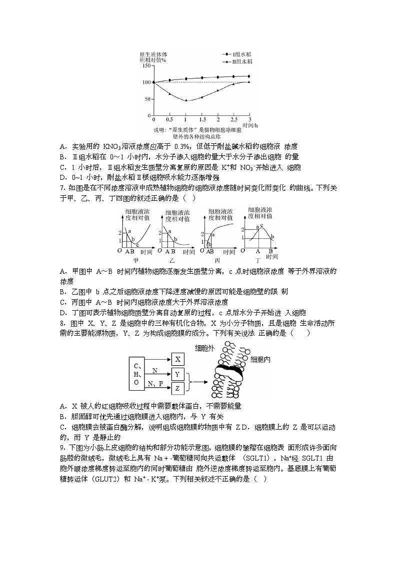 河北省保定市部分高中2023-2024学年高一上学期9月月考生物试题（含答案）02