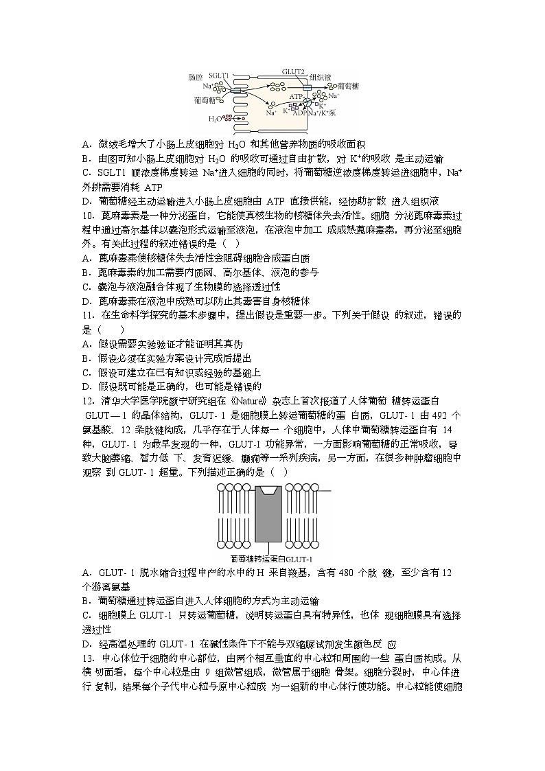 河北省保定市部分高中2023-2024学年高一上学期9月月考生物试题（含答案）03