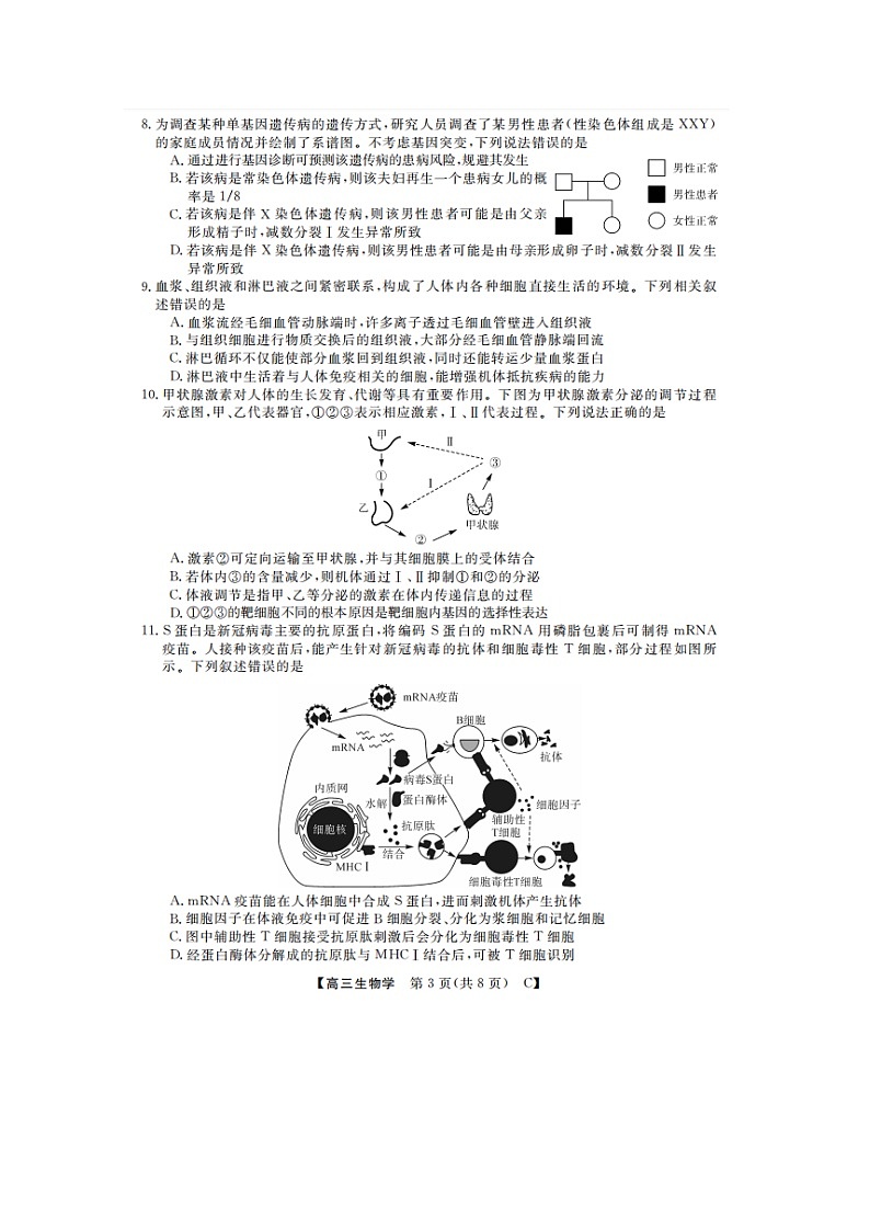 2024山东省金科大联考高三上学期9月质量检测生物试题无答案03