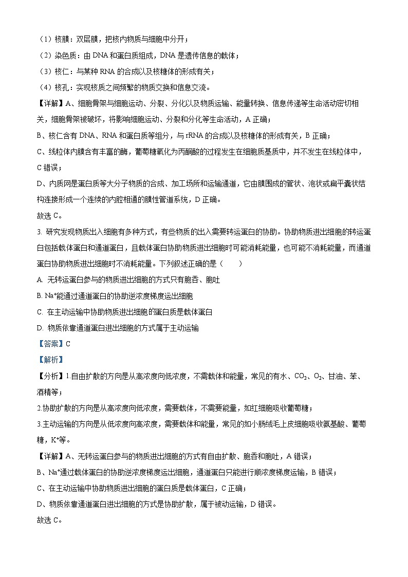 四川省成都市树德中学2023-2024学年高三生物上学期开学考试试题（Word版附解析）第2页