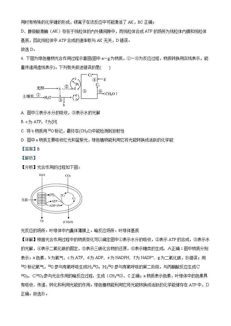 四川省成都市七中2023-2024学年高三生物上学期入学考试试题（Word版附解析）第3页