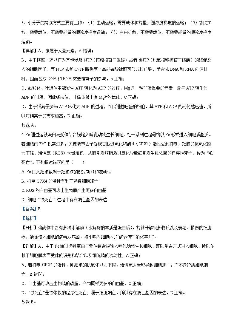 四川省兴文第二中学2023-2024学年高三生物上学期开学考试试题（Word版附解析）第3页