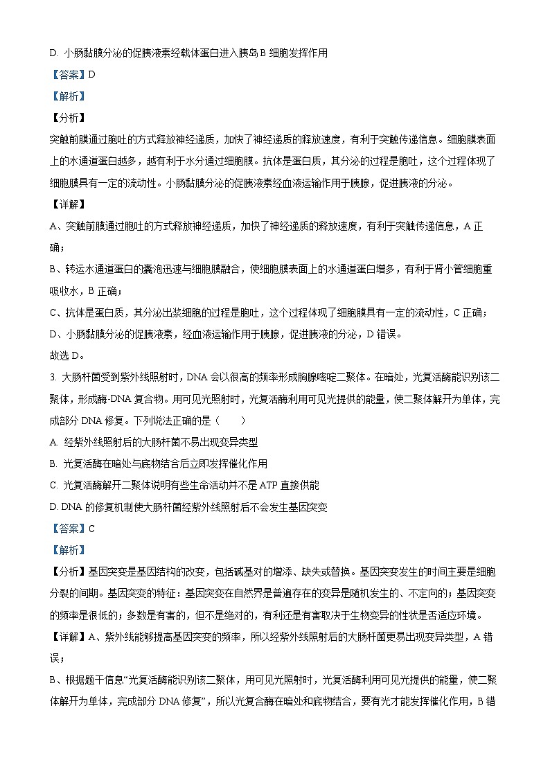 四川省宜宾市第四中学2023-2024学年高三生物上学期开学考试试题（Word版附解析）第2页