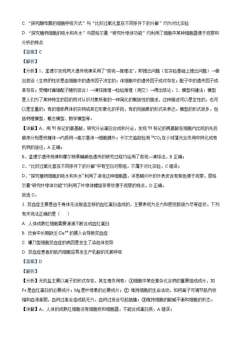 四川省宜宾市叙州区第二中学2023-2024学年高三生物上学期开学考试试题（Word版附解析）02