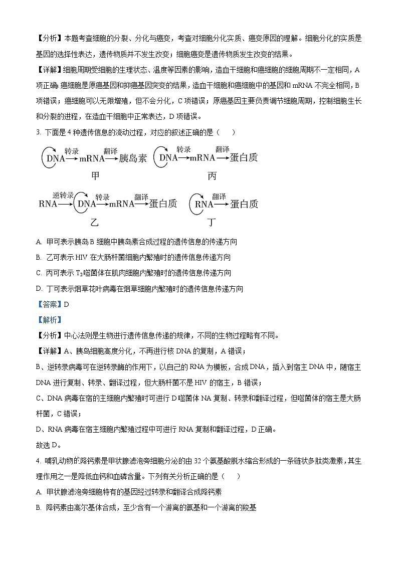 四川省绵阳南山中学2023-2024学年高三生物上学期第一次演练试题（Word版附解析）第2页