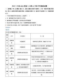 四川省内江市二中2022-2023学年高三生物上学期11月月考试题（Word版附解析）