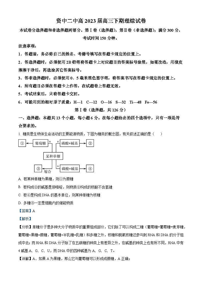 四川省内江市资中县二中2022-2023学年高三生物下学期4月月考试题（Word版附解析）第1页