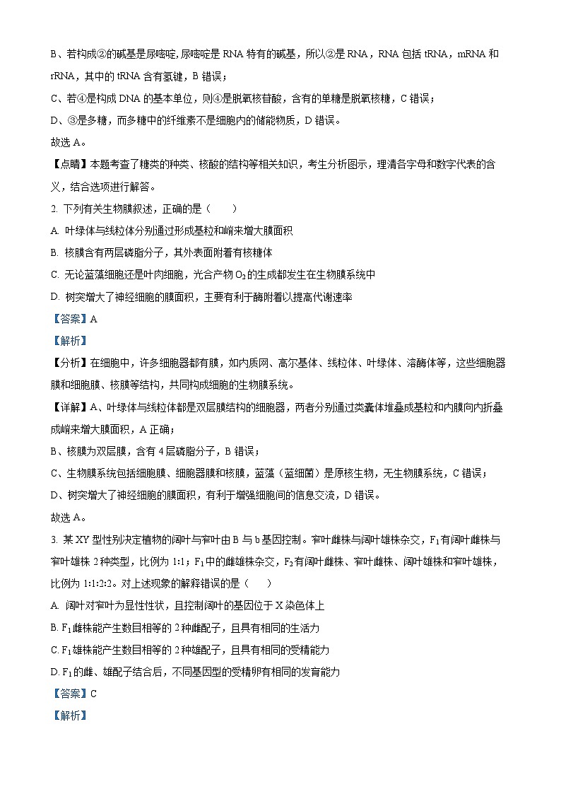 四川省内江市资中县二中2022-2023学年高三生物下学期4月月考试题（Word版附解析）第2页