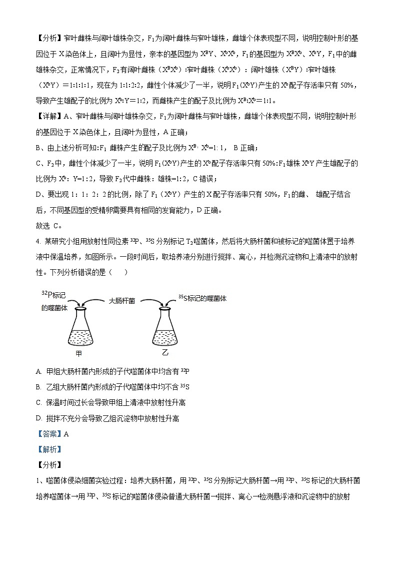 四川省内江市资中县二中2022-2023学年高三生物下学期4月月考试题（Word版附解析）第3页