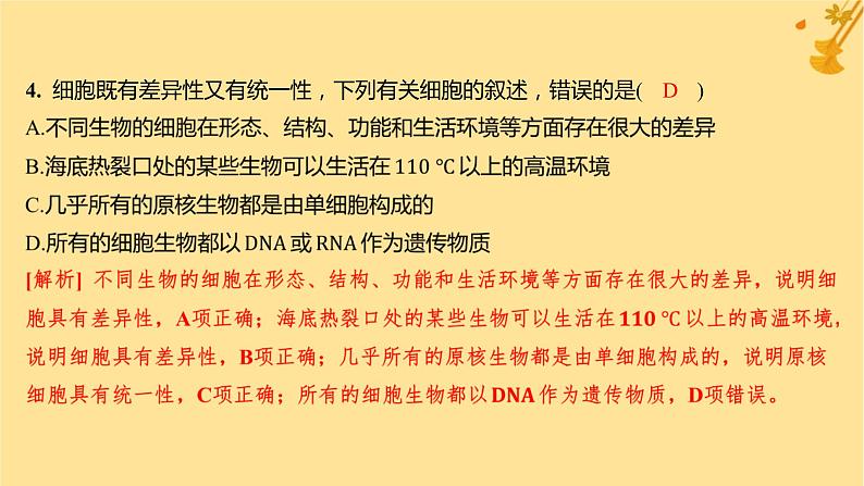 江苏专版2023_2024学年新教材高中生物第1章走近细胞第2节细胞的多样性和统一性分层作业课件新人教版必修1第5页