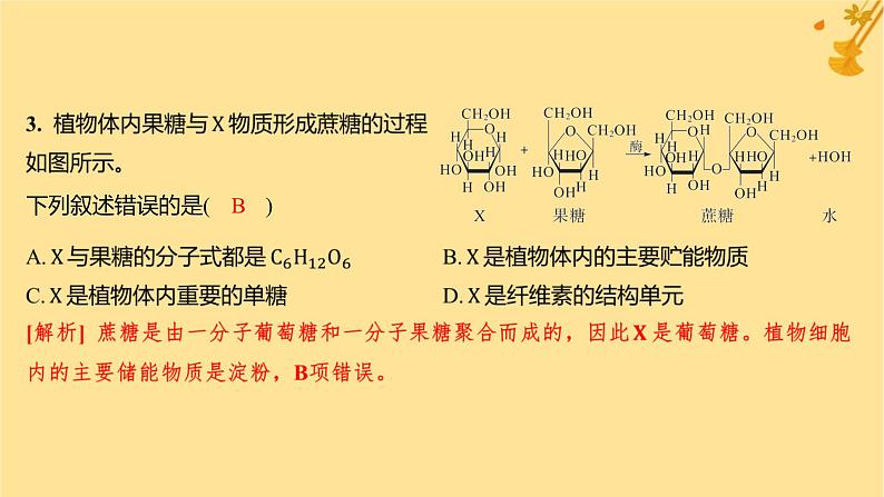 江苏专版2023_2024学年新教材高中生物第2章组成细胞的分子第3节细胞中的糖类和脂质分层作业课件新人教版必修1第5页