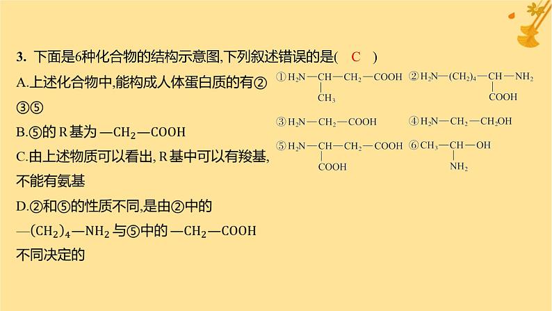 江苏专版2023_2024学年新教材高中生物第2章组成细胞的分子第4节蛋白质是生命活动的主要承担者分层作业课件新人教版必修1第6页