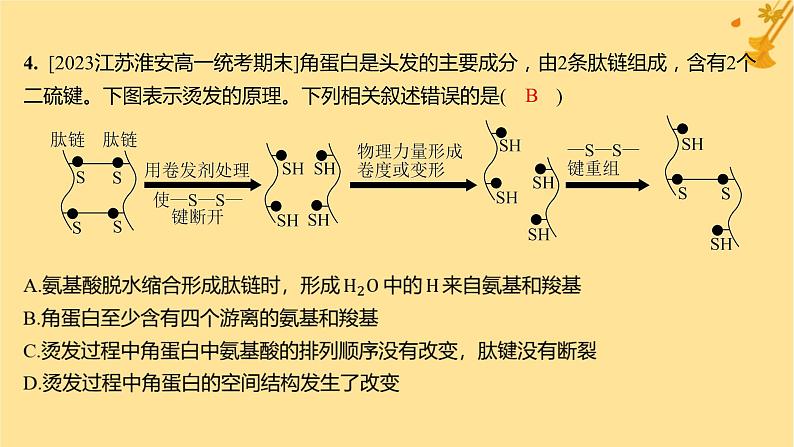 江苏专版2023_2024学年新教材高中生物第2章组成细胞的分子第4节蛋白质是生命活动的主要承担者分层作业课件新人教版必修1第8页