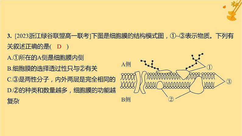 江苏专版2023_2024学年新教材高中生物第3章细胞的基本结构章末测评卷课件新人教版必修106