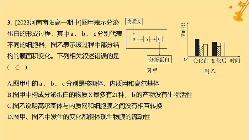 江苏专版2023_2024学年新教材高中生物第3章细胞的基本结构第2节细胞器之间的分工合作第2课时细胞器之间的协调配合和细胞的生物膜系统分层作业课件新人教版必修105