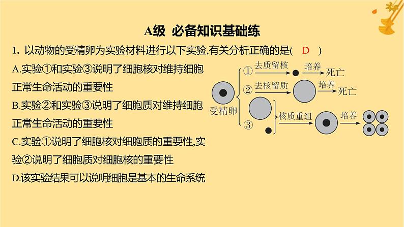 江苏专版2023_2024学年新教材高中生物第3章细胞的基本结构第3节细胞核的结构和功能分层作业课件新人教版必修102