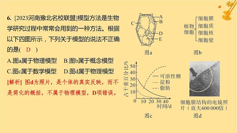 江苏专版2023_2024学年新教材高中生物第3章细胞的基本结构第3节细胞核的结构和功能分层作业课件新人教版必修107