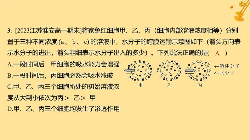 江苏专版2023_2024学年新教材高中生物第4章细胞的物质输入和输出第1节被动运输分层作业课件新人教版必修105