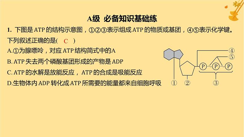 江苏专版2023_2024学年新教材高中生物第5章细胞的能量供应和利用第2节细胞的能量“货币”ATP分层作业课件新人教版必修1第2页