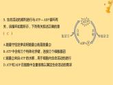 江苏专版2023_2024学年新教材高中生物第5章细胞的能量供应和利用第2节细胞的能量“货币”ATP分层作业课件新人教版必修1