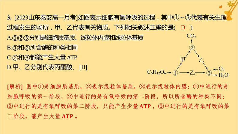 江苏专版2023_2024学年新教材高中生物第5章细胞的能量供应和利用第3节细胞呼吸的原理和应用第1课时细胞呼吸的方式和有氧呼吸分层作业课件新人教版必修105