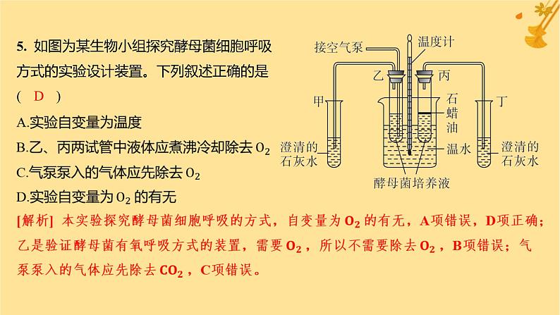 江苏专版2023_2024学年新教材高中生物第5章细胞的能量供应和利用第3节细胞呼吸的原理和应用第1课时细胞呼吸的方式和有氧呼吸分层作业课件新人教版必修107