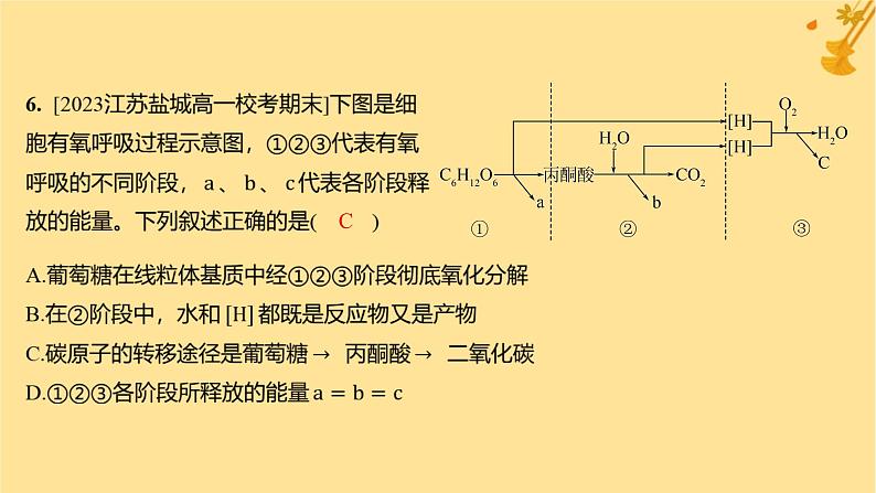 江苏专版2023_2024学年新教材高中生物第5章细胞的能量供应和利用第3节细胞呼吸的原理和应用第1课时细胞呼吸的方式和有氧呼吸分层作业课件新人教版必修108