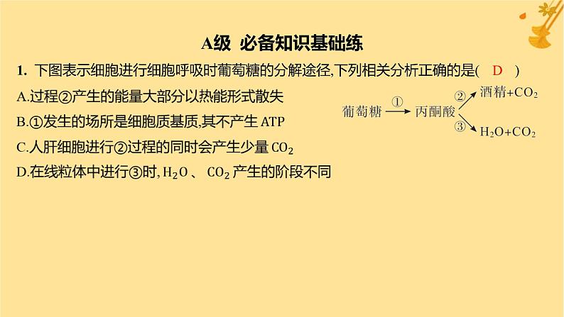 江苏专版2023_2024学年新教材高中生物第5章细胞的能量供应和利用第3节细胞呼吸的原理和应用第2课时无氧呼吸细胞呼吸的影响因素及其应用分层作业课件新人教版必修102