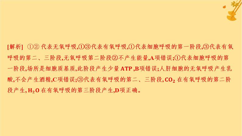 江苏专版2023_2024学年新教材高中生物第5章细胞的能量供应和利用第3节细胞呼吸的原理和应用第2课时无氧呼吸细胞呼吸的影响因素及其应用分层作业课件新人教版必修103