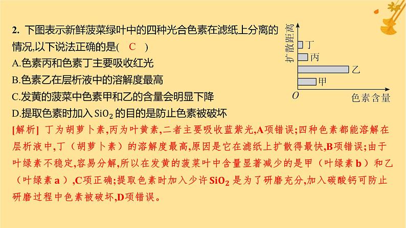 江苏专版2023_2024学年新教材高中生物第5章细胞的能量供应和利用第4节光合作用与能量转化第1课时捕获光能的色素和结构分层作业课件新人教版必修104