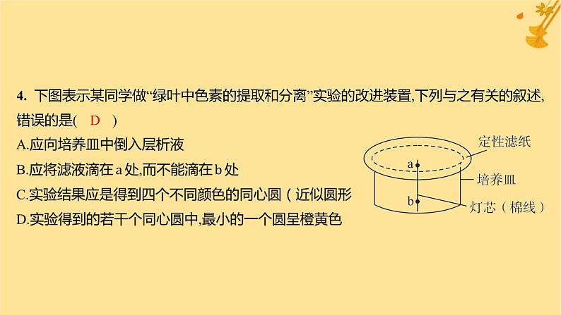 江苏专版2023_2024学年新教材高中生物第5章细胞的能量供应和利用第4节光合作用与能量转化第1课时捕获光能的色素和结构分层作业课件新人教版必修106