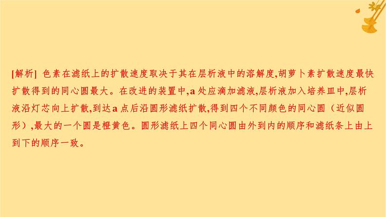 江苏专版2023_2024学年新教材高中生物第5章细胞的能量供应和利用第4节光合作用与能量转化第1课时捕获光能的色素和结构分层作业课件新人教版必修107